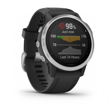 Montre GARMIN Fenix 6 S Silver...