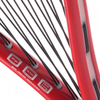 Raquette Squash PRINCE THUNDER...