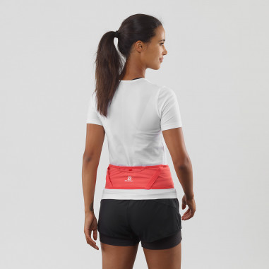 Ceinture SALOMON Pulse Belt Cayenne...