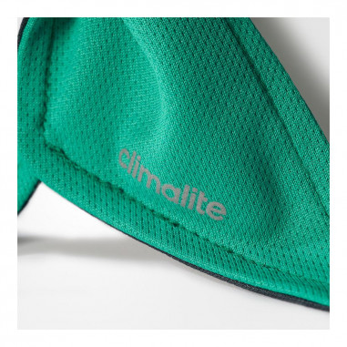 Bandeau ADIDAS Roland Garros Vert /...