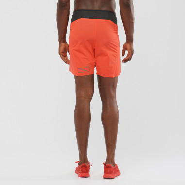 Short Running SALOMON Homme S/LAB...