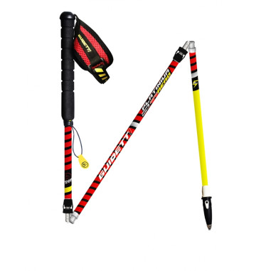 Bâton Trail GUIDETTI Platinium AERO...