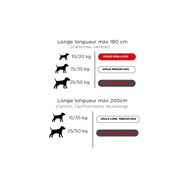 Accessoires Running RAIDLIGHT LONGE...