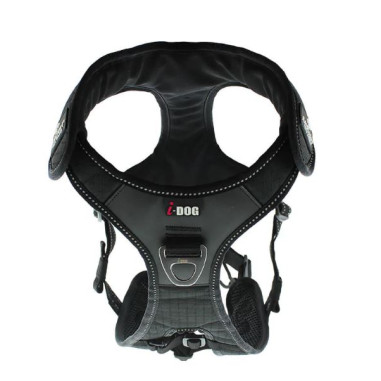 Accessoires Running RAIDLIGHT HARNAIS...