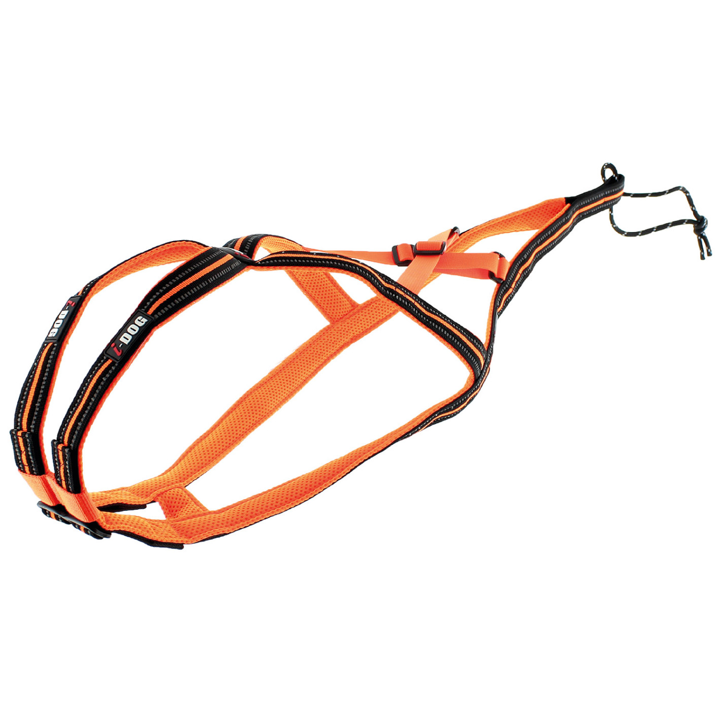 Accessoires Running RAIDLIGHT HARNAIS CANICROSS X-BAG ONE I-DOG Orange AH  2022