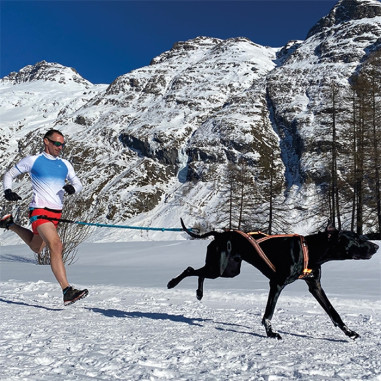 Accessoires Running RAIDLIGHT HARNAIS...