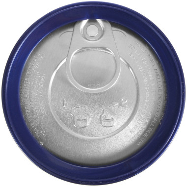 Tube de 4 balles WILSON ROLAND GARROS...