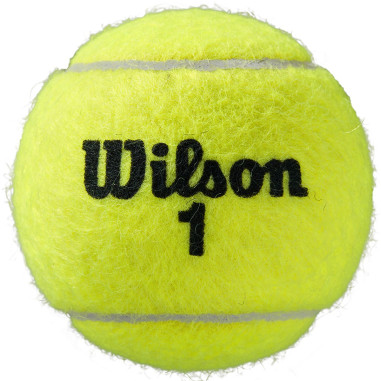 Tube de 4 balles WILSON ROLAND GARROS...