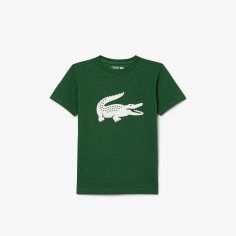 T-Shirt LACOSTE Junior...