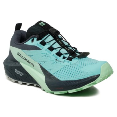 Chaussures Running SALOMON Femme...