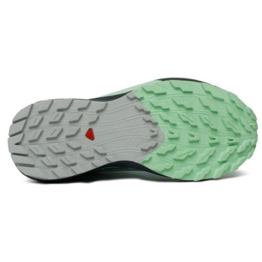 Chaussures Running SALOMON Femme...